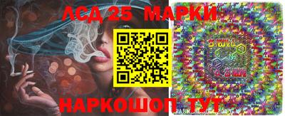 сатива Сланцы