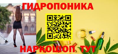 сатива Сланцы