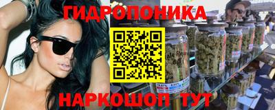 сатива Сланцы