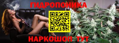 стафф Славгород
