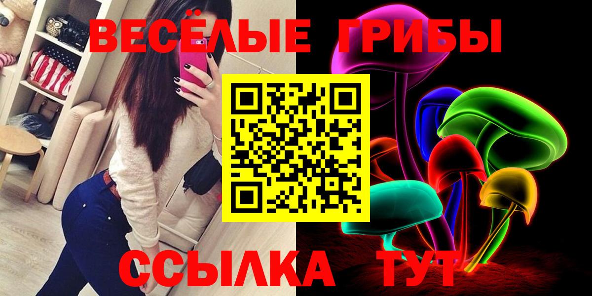 Саранск  Галлюциногенные грибы Psilocybe  Псилоцибиновые грибы GOLDEN TEACHER  где найти наркотики  Вход с VPN 